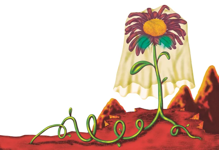 illustrazione di Carlo Schievano